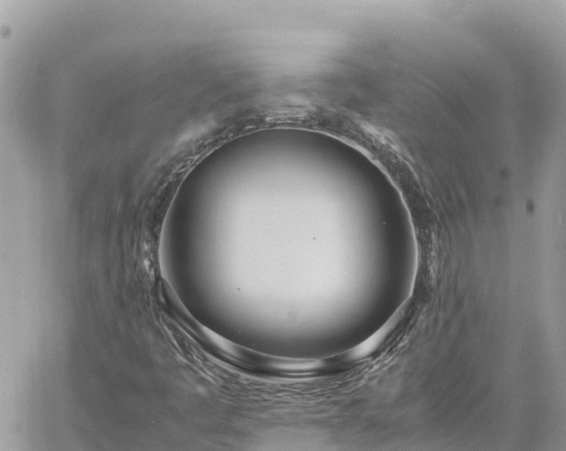 X0000060751445200511171110