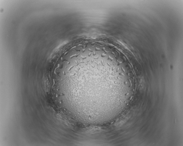 X0000060751446200511171110