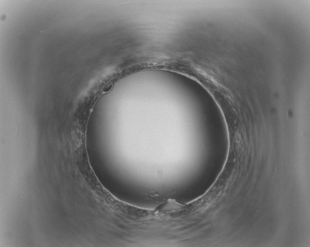 X0000060751447200511171110