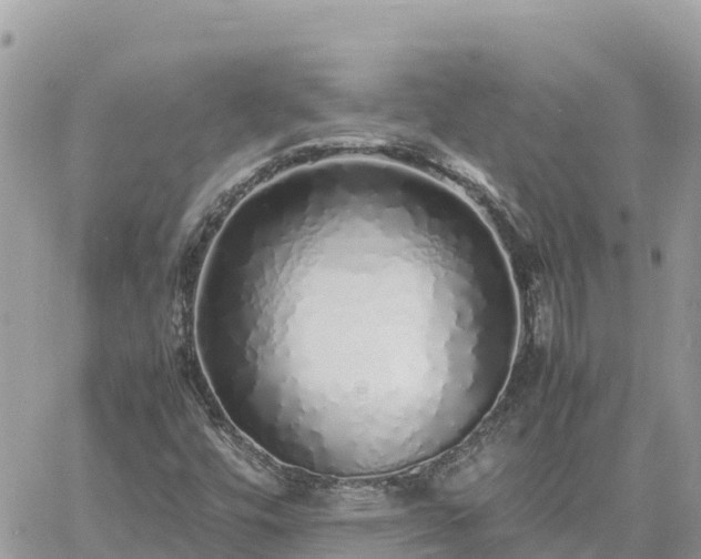 X0000060751448200511171110