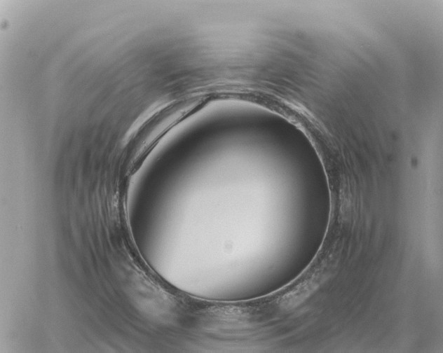 X0000060751450200511171110