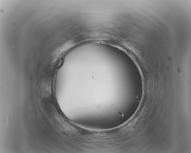 X0000060751451200511171110