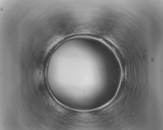 X0000060751452200511171110