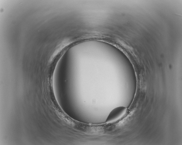 X0000060751453200511171110