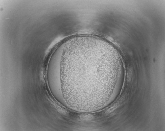 X0000060751454200511171110