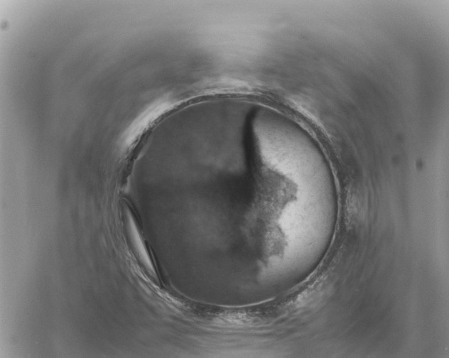 X0000060751455200511171110