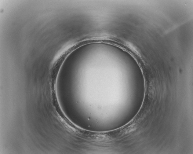 X0000060751456200511171110