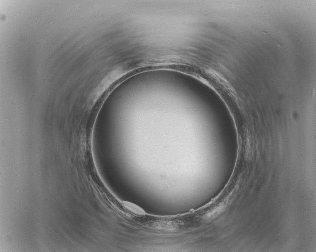 X0000060751457200511171110