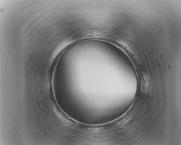 X0000060751458200511171110