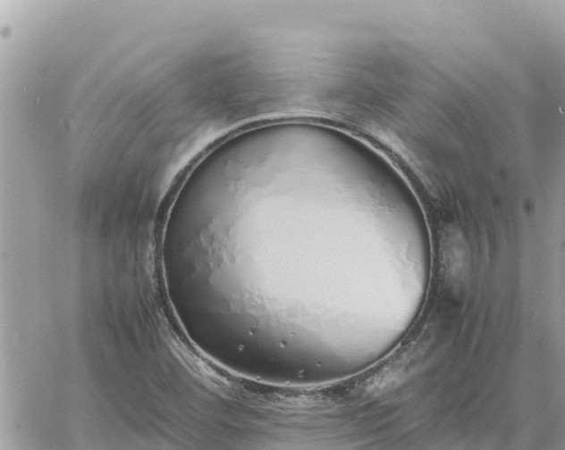 X0000060751460200511171110