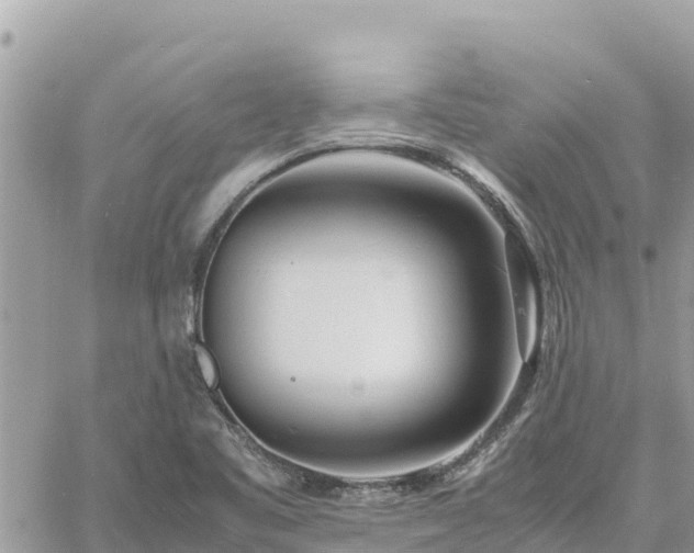 X0000060751461200511171110