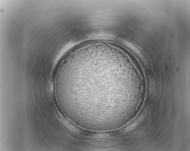 X0000060751462200511171110