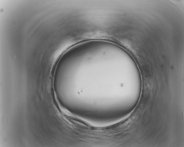 X0000060751463200511171110