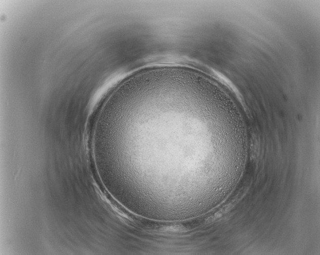 X0000060751464200511171110