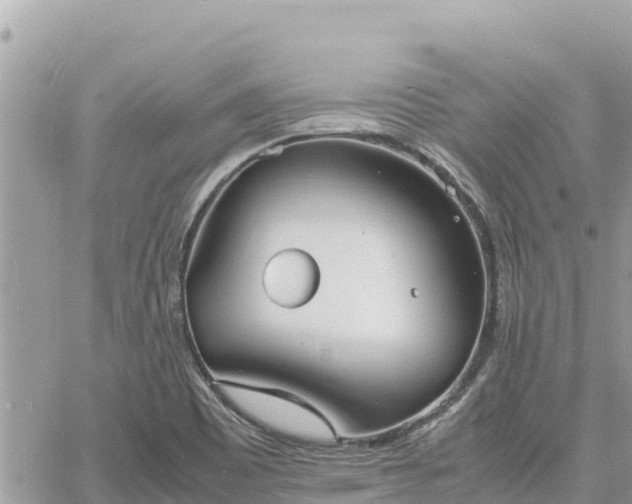 X0000060751465200511171110