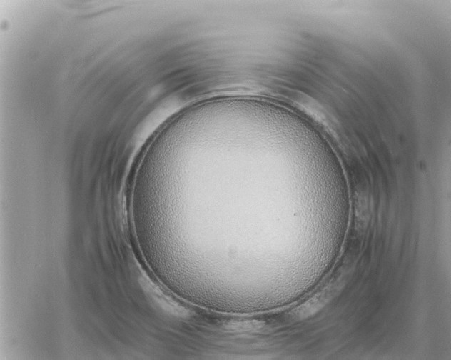 X0000060751466200511171110