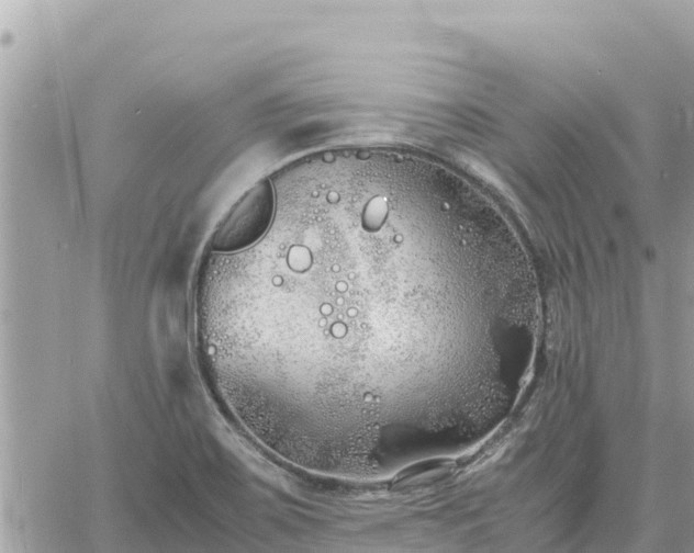 X0000060751467200511171110