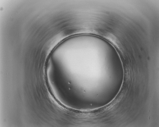 X0000060751468200511171110