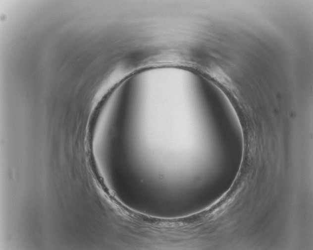 X0000060751469200511171110