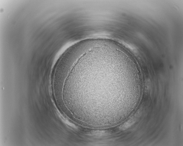 X0000060751470200511171110