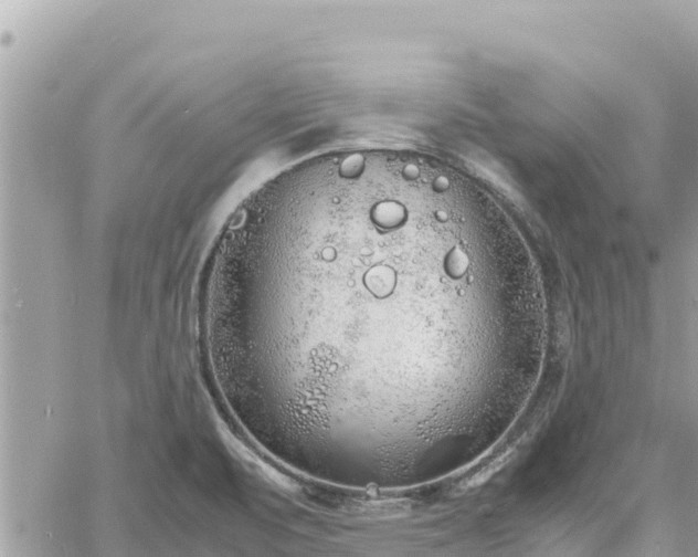 X0000060751471200511171110