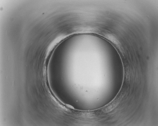 X0000060751472200511171110