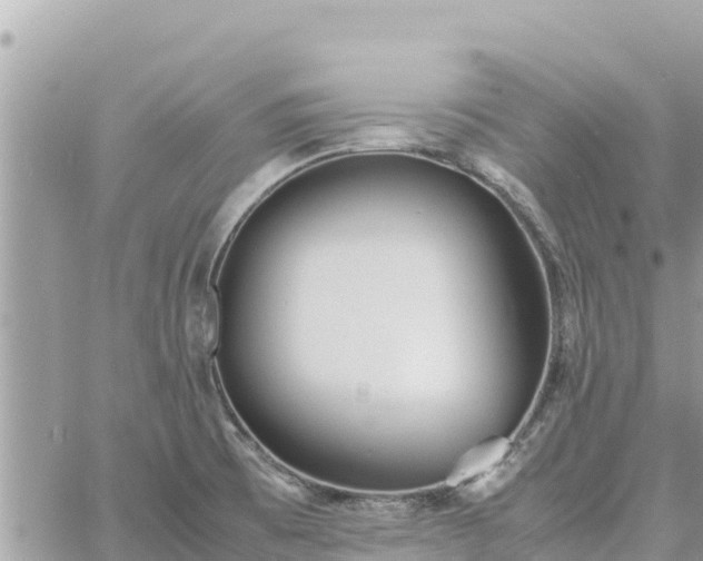 X0000060751473200511171110