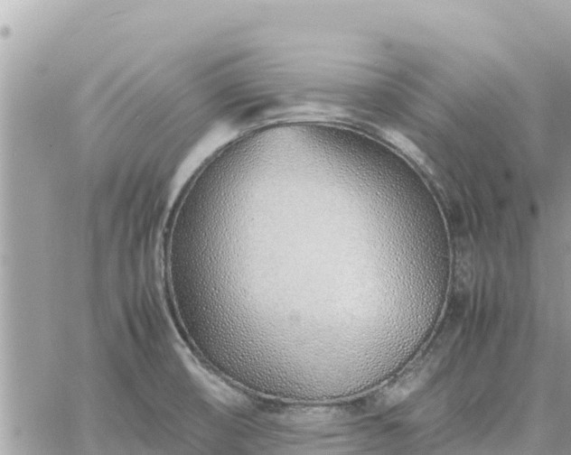 X0000060751474200511171110