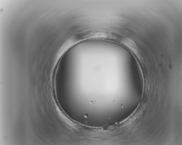 X0000060751475200511171110