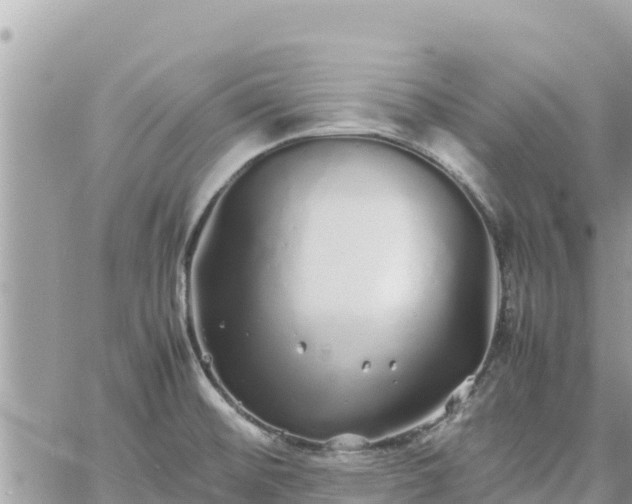 X0000060751476200511171110