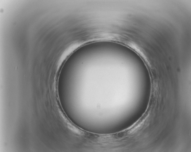 X0000060751477200511171110