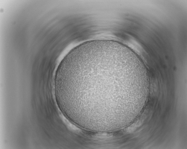 X0000060751478200511171110