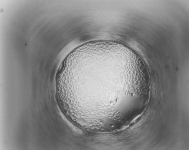 X0000060751479200511171110