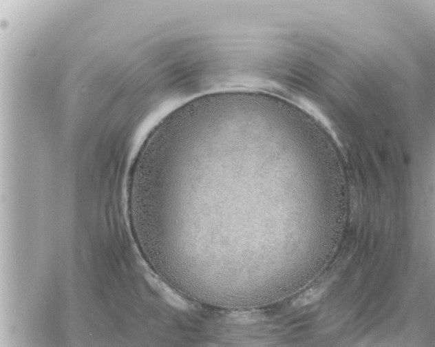 X0000060751480200511171110