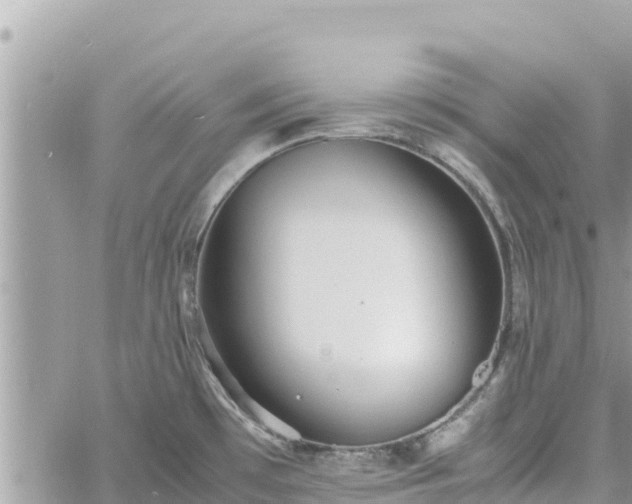 X0000060751481200511171110