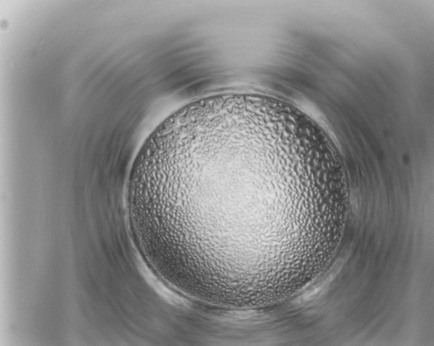 X0000060751482200511171110