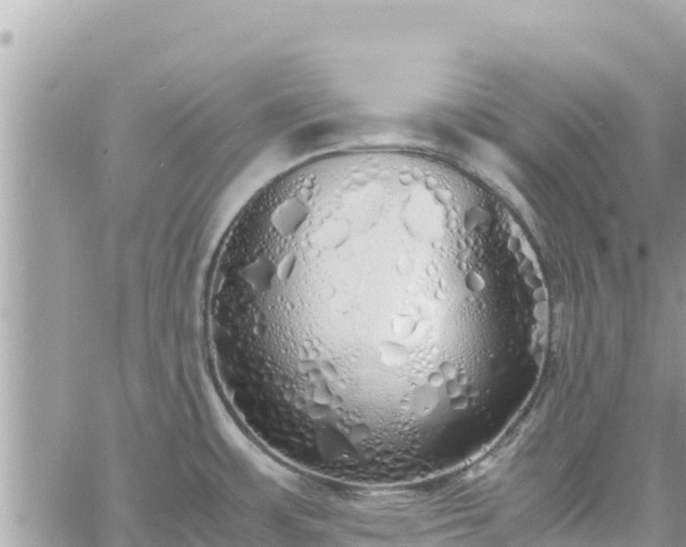 X0000060751483200511171110