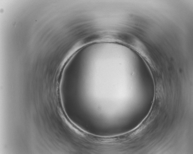 X0000060751484200511171110