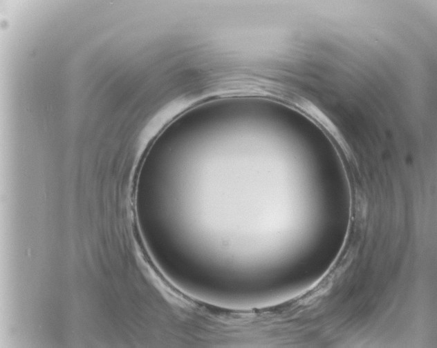 X0000060751485200511171110