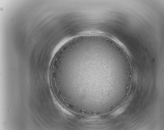 X0000060751486200511171110