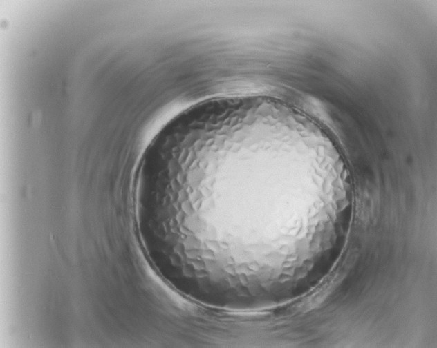 X0000060751487200511171110