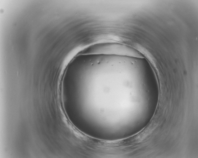 X0000060751488200511171110