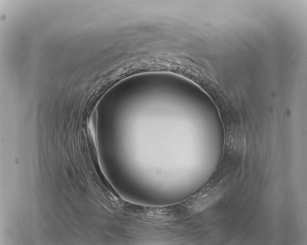 X0000060751490200511171109