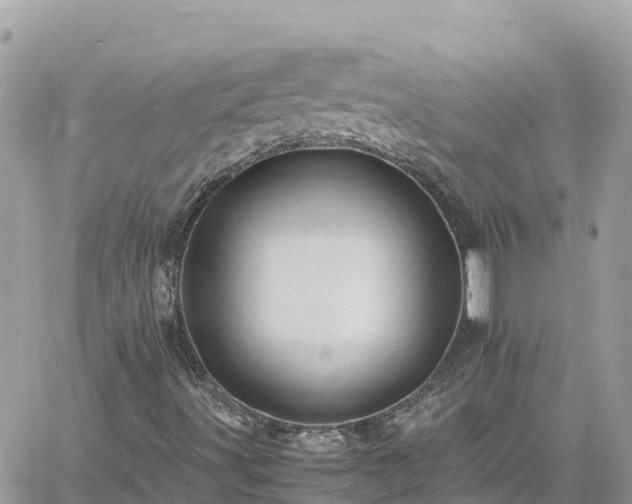 X0000060751491200511171109