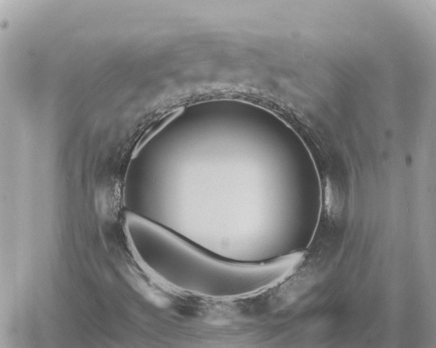 X0000060751492200511171109