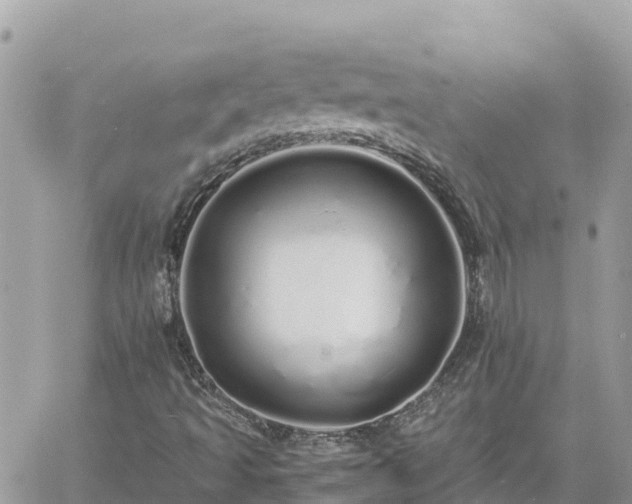 X0000060751493200511171109