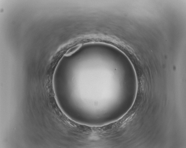 X0000060751494200511171109