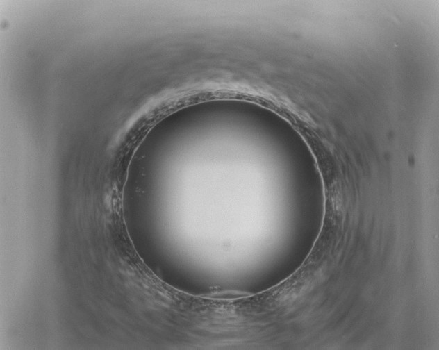 X0000060751495200511171109