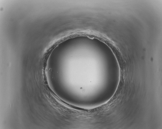 X0000060751496200511171109