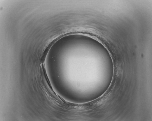 X0000060751497200511171109